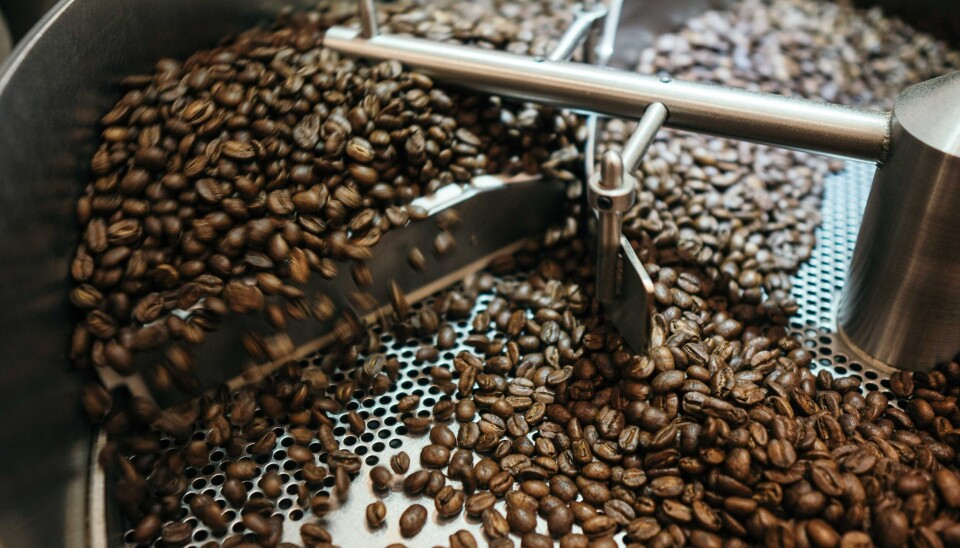 Etiopiens kaffeodlingar har under det senaste decenniet drabbats av stora skördeförluster. Kaffebönor som rostas.