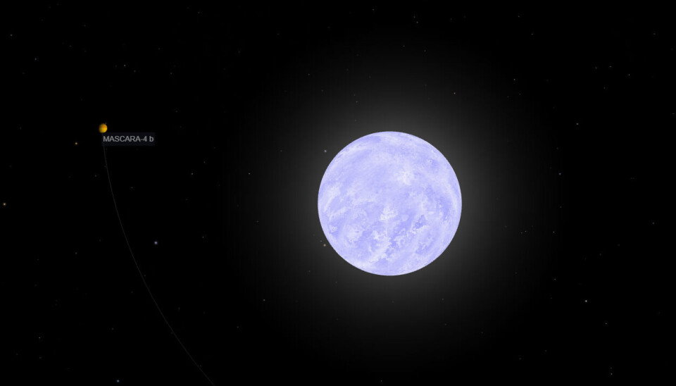 En illustration av exoplaneten Mascara-4b i omlopp runt sin stjärna. En illustration av exoplaneten Mascara-4b runt sin stjärna.