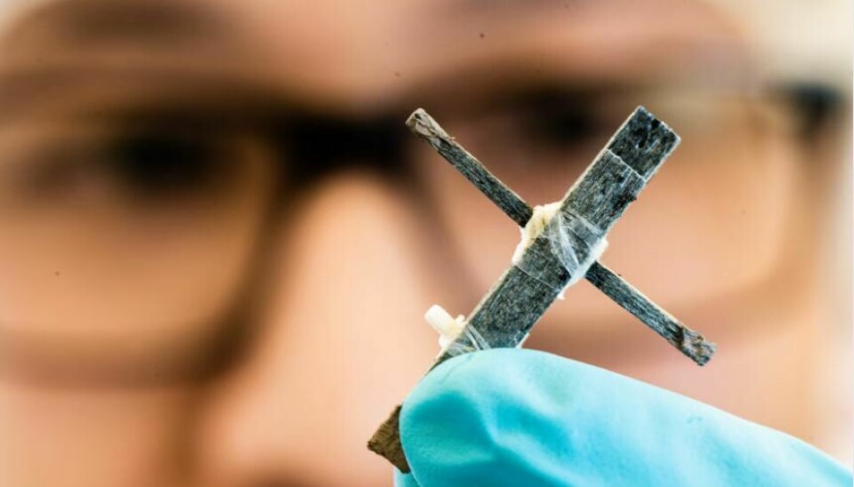 Forskare vid Linköpings universitet har tillsammans med kollegor på KTH utvecklat världens första transistor för elektricitet gjord av trä.