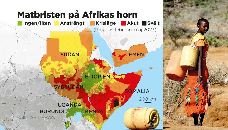 Klimatförändringar bakom torka på Afrikas horn