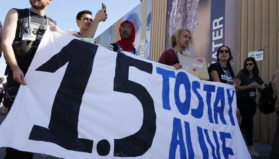 '1.5 to stay alive' var demonstranternas budskap under det senaste klimattoppmötet, COP27 i Egypten. Arkivbild. '1.5 to stay alive' var demonstranternas budskap under det senaste klimattoppmötet, COP27 i Egypten. Arkivbild.