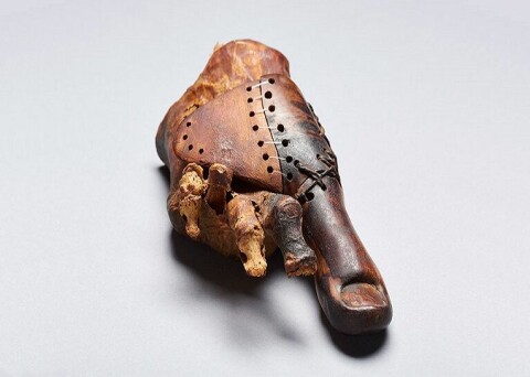 Den första kända protesen, en 3 000 år gammal konstgjord stortå.