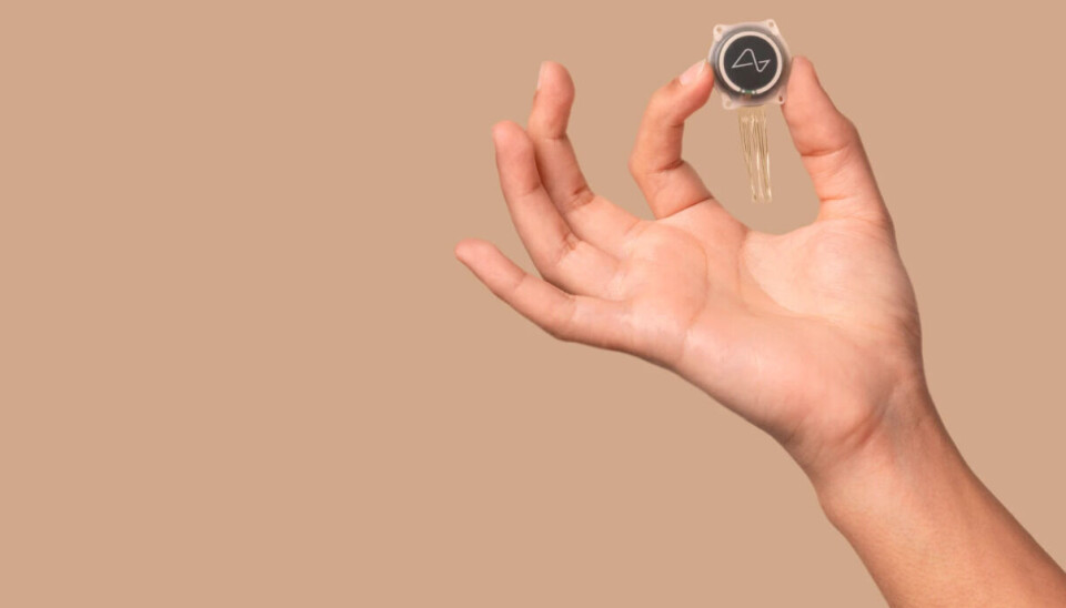 Neuralinks implantat. Neuralinks implantat.