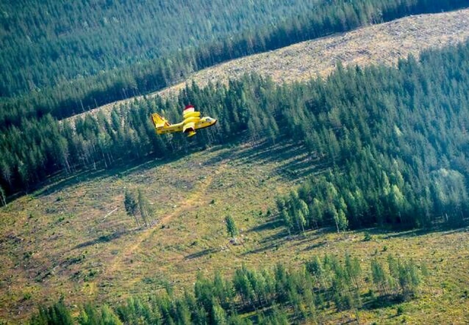 Canadair CL-415 vid skogsbranden utanför Ljusdal. Foto: Maja Suslin/TT