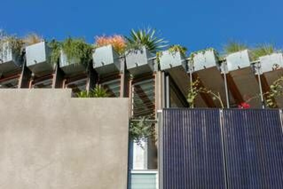 Welcome to the Jungle House solceller på fasaden och växter. Foto: Murray Fredericks Photography