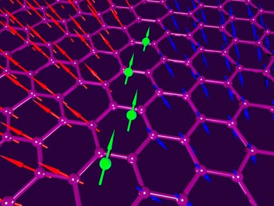 : En ström av elektroner (de gröna pilarna) gör att magnetfältet till höger respektive vänster om strömmen får olika rikting . Det illustreras med de röda respektive blå pilarna som visar spinnets riktning. Foto: Andre Geim : En ström av elektroner (de gröna pilarna) gör att magnetfältet till höger respektive vänster om strömmen får olika rikting . Det illustreras med de röda respektive blå pilarna som visar spinnets riktning. Foto: Andre Geim