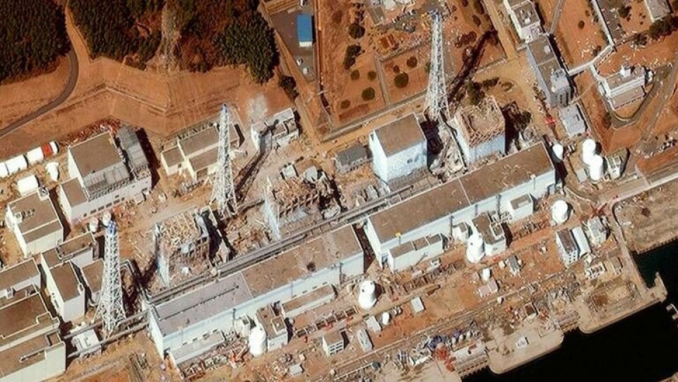 Isvägg ska skydda havet runt Fukushima