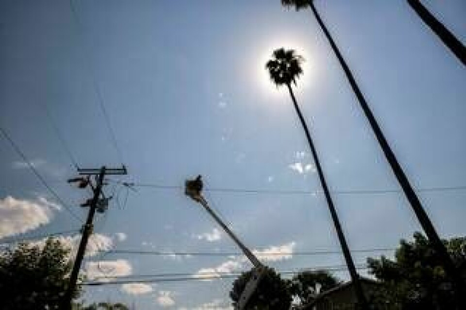 Elnätet uppgraderas i Los Angeles-området i samband med värmeböljan. Foto: Hans Gutknecht/TT