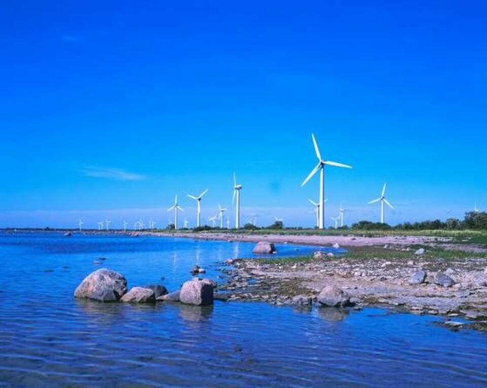 Gotland har 143 vindkraftverk. Här är Näsuddens vindkraftpark. Foto: Bengt Ekman / Naturfotograferna / IBL Bildbyrå