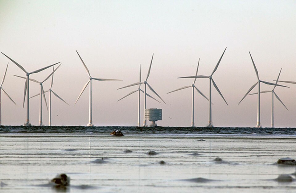 Arkivbild på vindskraftparken Lillgrund i Öresund söder om Malmö. Foto: Stig-Åke Jönsson / SCANPIX / TT Arkivbild på vindskraftparken Lillgrund i Öresund söder om Malmö. Foto: Stig-Åke Jönsson / SCANPIX / TT