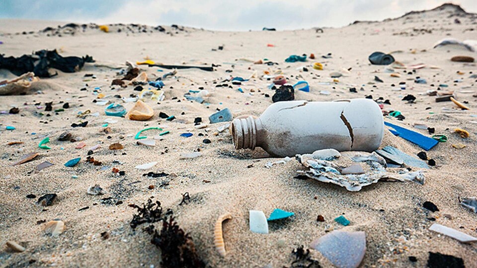 Foto: Alamy Foto: Alamy