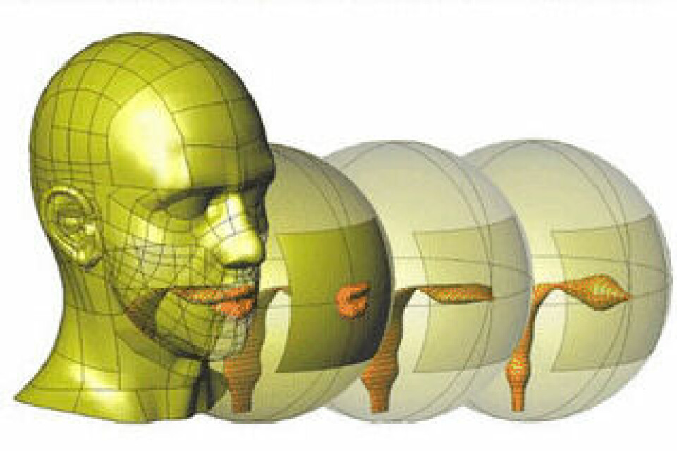Stegvisa förenklingar av huvudets yttre form används för att räkna ut ljudutbredningen utanför munnen. Foto: KTH