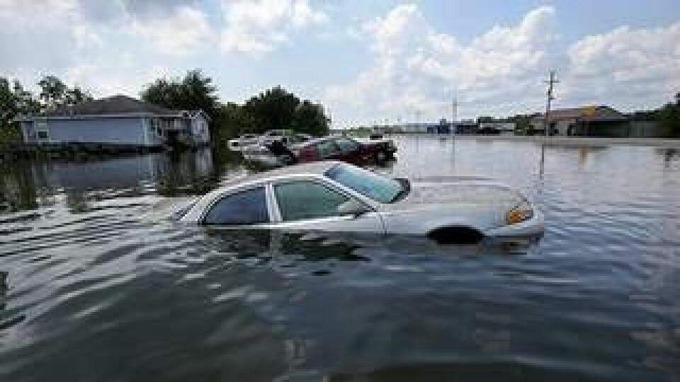 Bilar under vatten efter orkanen Harvey. Foto: TT