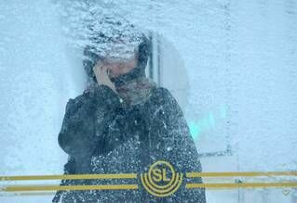 En kvinna pratar i telefon i en busskur i Kista i västra Stockholm i fredagens snökaos. Nästan all busstrafik i Stockholm är inställd på grund av snöovädret. Foto: Johan Nilsson/SCANPIX