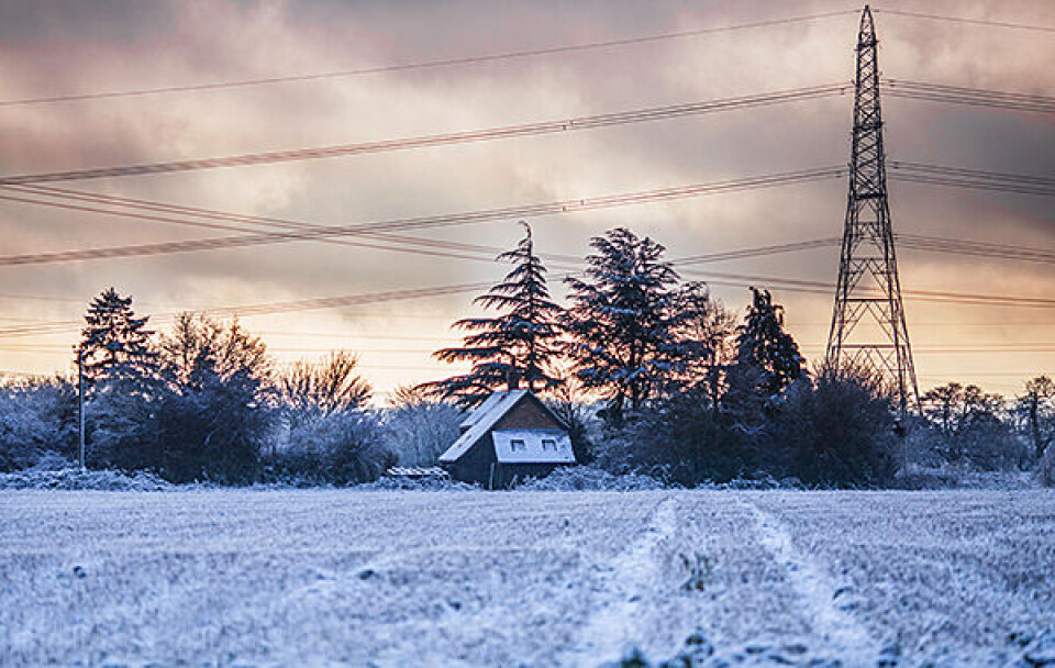 Foto: Alamy Foto: Alamy