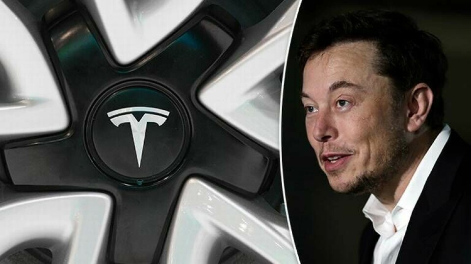Teslas vd Elon Musk. Foto: TT