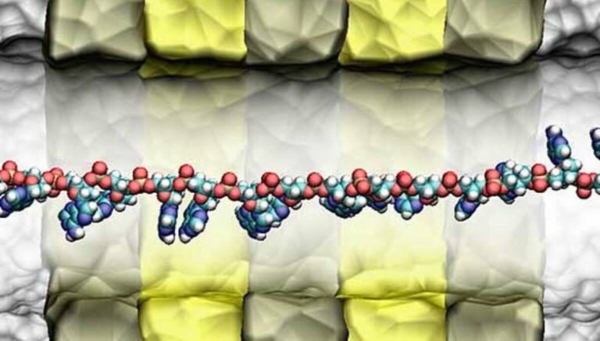 Dna Vaihtolaite Dna-transistor ska läsa din arvsmassa