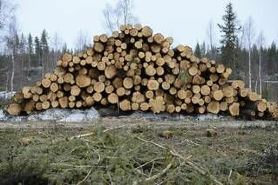 Rester från skogsavverkning kan användas som biobränsle. Foto: Henrik Montgomery/TT