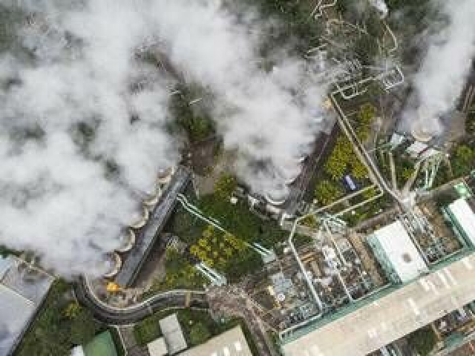 El Salvador hoppas kunna använda sin geotermiska energi för att bryta bitcoins. Foto: Camilo Freedman/SOPA Images/TT