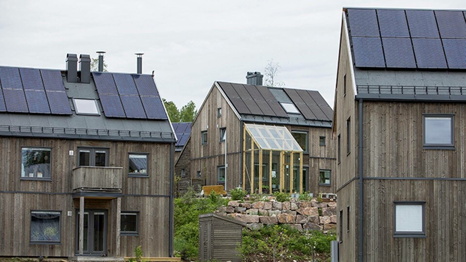 Foto: Tore Meek / NTB scanpix Foto: Tore Meek / NTB scanpix