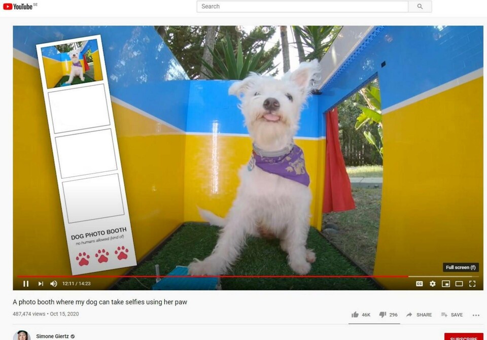 Simone Giertz hund Scraps tar selfies i sitt alldeles egna fotobås. Foto: Youtube/Simone Giertz Simone Giertz hund Scraps tar selfies i sitt alldeles egna fotobås. Foto: Youtube/Simone Giertz