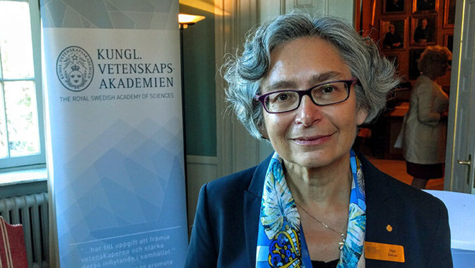 Olga Botner är medlem i Nobelkommittén i fysik, Foto: Anna Orring Olga Botner är medlem i Nobelkommittén i fysik, Foto: Anna Orring