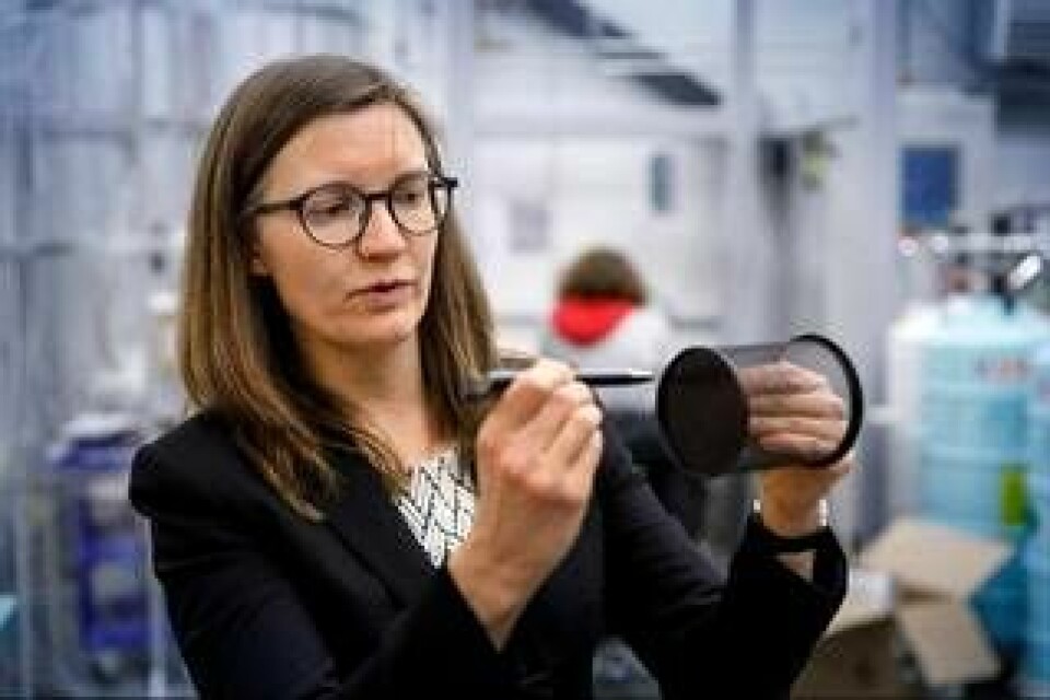 Maja Olvegård förklarar hur en partikelstråle går igenom magneten. Foto: Staffan Claesson