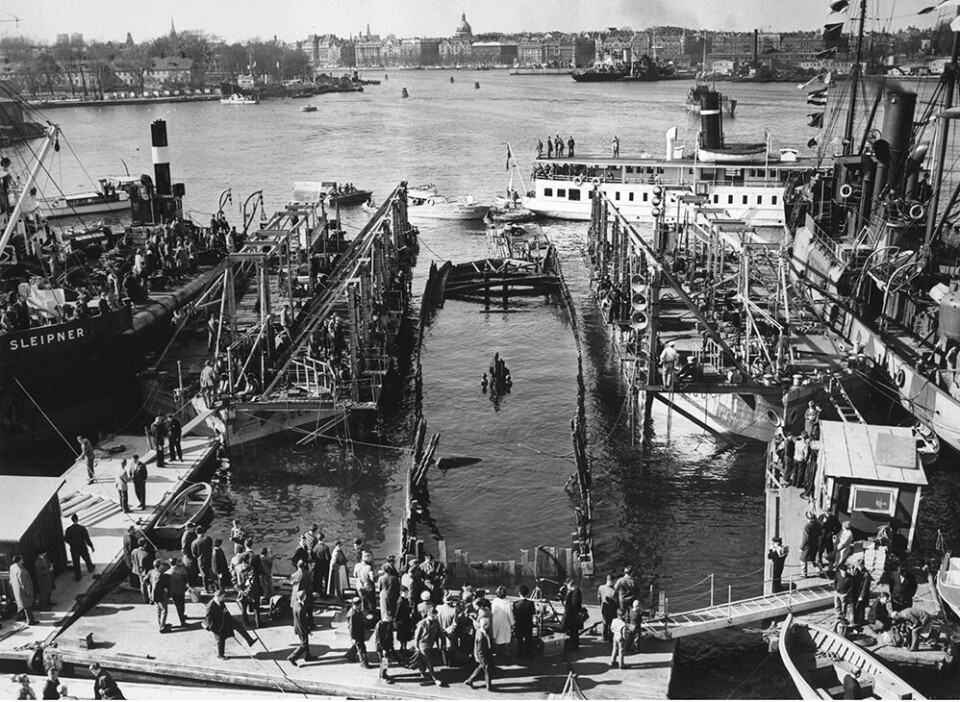 Vasa ser dagens ljus för första gången på 333 år, den 24 april 1961. Foto: TT Vasa ser dagens ljus för första gången på 333 år, den 24 april 1961. Foto: TT