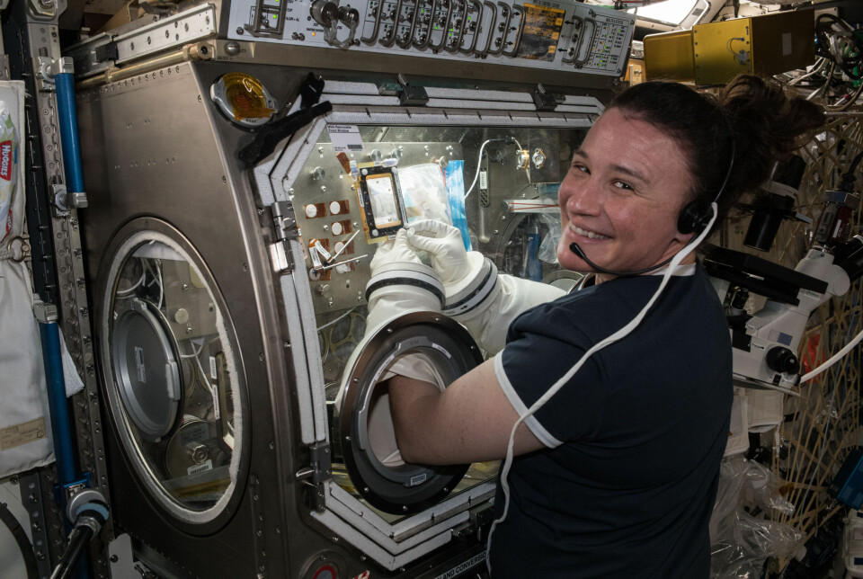 Ingenjören Serena Auñón-Chancellor under arbete i ISS ”Microgravity Science Glovebox” juli 2018.