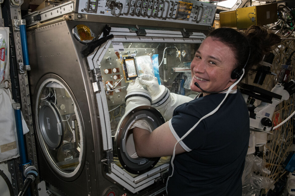 Ingenjören Serena Auñón-Chancellor under arbete i ISS ”Microgravity Science Glovebox” juli 2018.