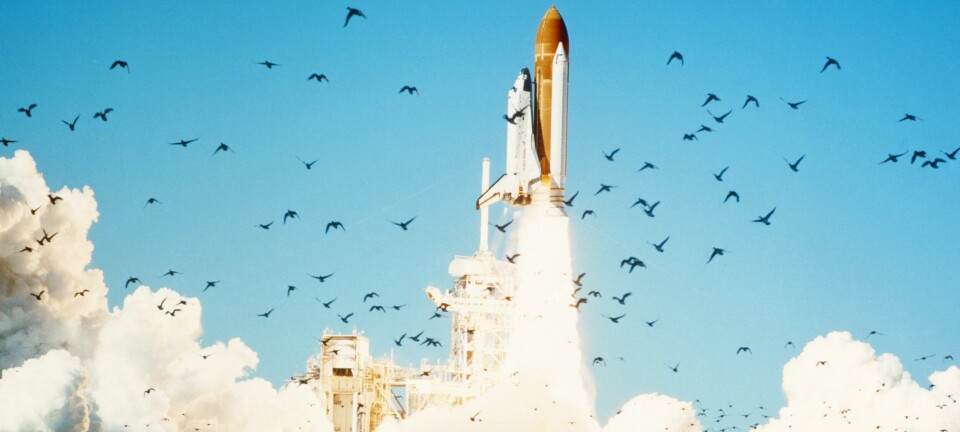 Rymdfärjan Challenger lyfter från Kennedy Space Center i Florida, USA, den 28 januari 1986.