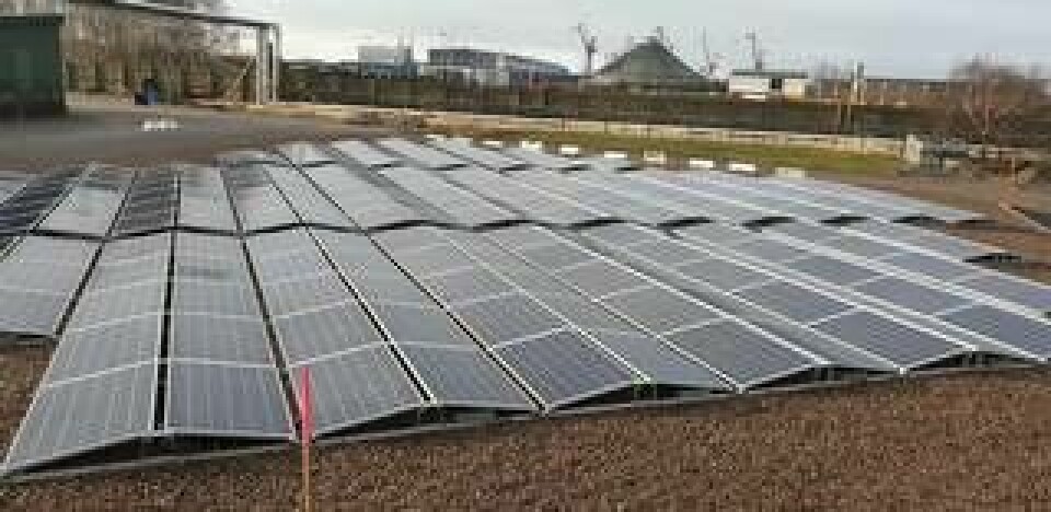 Solcellerna ska ge 70 MWh per år. Foto: Boliden