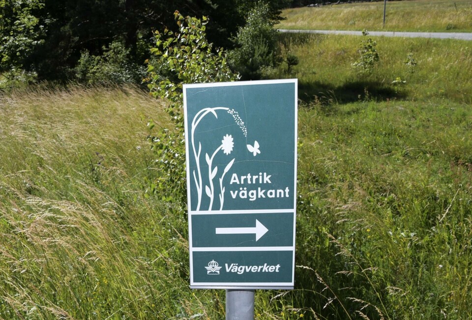Trafikverket ska testa att omvandla gräs från vägkanter till biogas. Foto: Johan Nilsson/TT Trafikverket ska testa att omvandla gräs från vägkanter till biogas. Foto: Johan Nilsson/TT