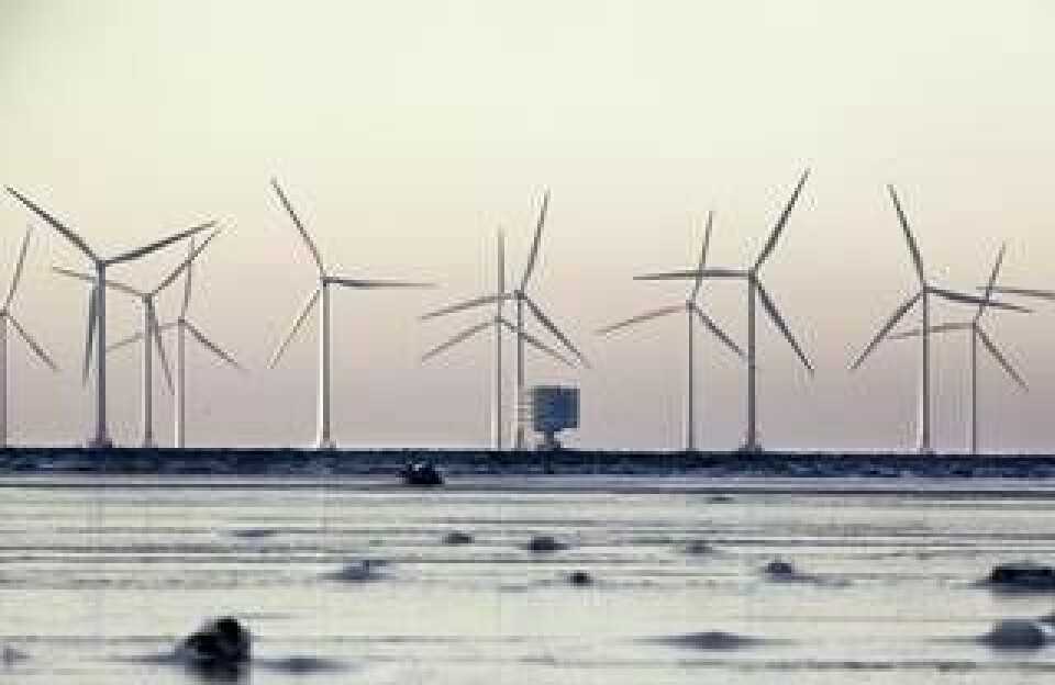 Mer vindkraft till havs på gång. Arkivbild. Foto: Stig-Åke Jönsson / TT