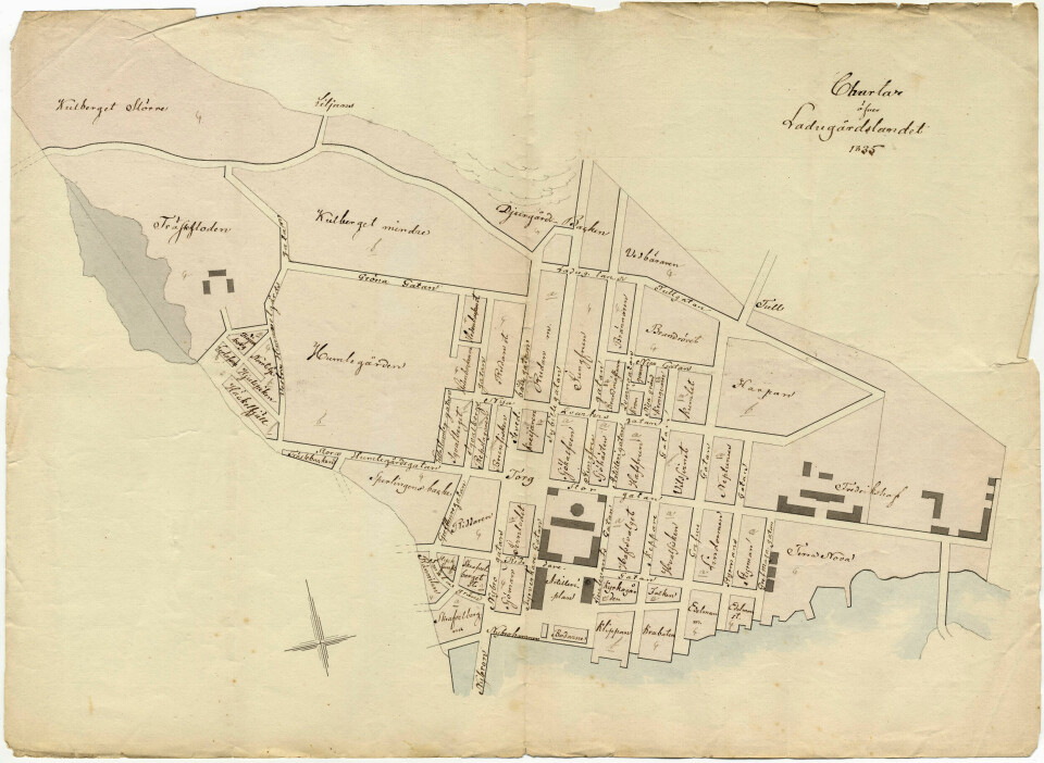 Koleran spreds lavinartat genom landet efter det första fallet 1834. I vissa svårt drabbade städer avled över tio procent av befolkningen. Kolerakartan över Ladugårdslandet i Stockholm är från år 1834.