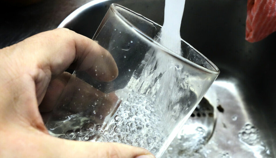 Ett glas fylls på med vatten i en kran vid en diskbänk.