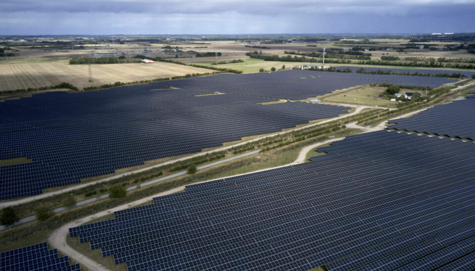 Solpark Kassø är Nordeuropas största solcellspark