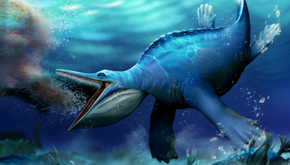Den marina reptilen levde för cirka 248 miljoner år sedan, kort efter perm-trias-utdöendet.