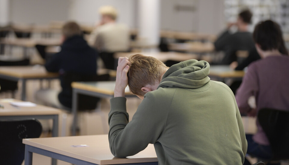 Studenter gör högskoleprovet på Stockholms Universitet 2020. Arkivbild. Ryggen på en person med grön tröja som sitter vid ett bord