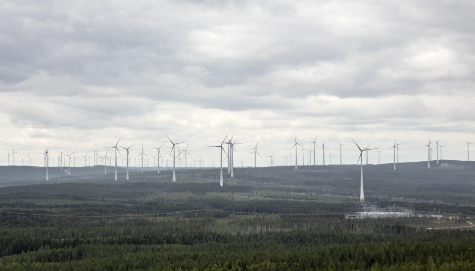 Vindkraftverk ses från berget Kalahatten i Piteå kommun.