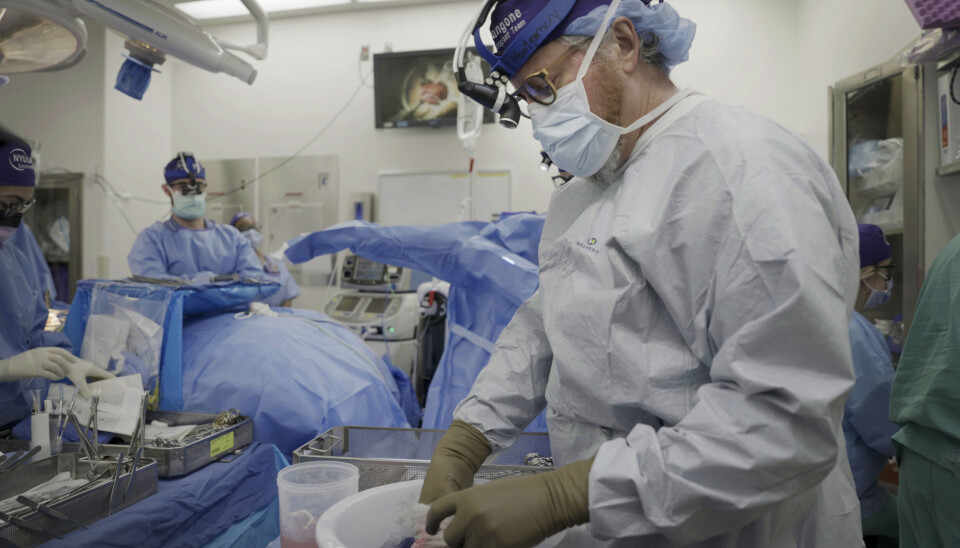 Doktor Robert Montgomery förbereder en grisnjure för transplantation den 14 juli. Arkivbild. Doktor Robert Montgomery förbereder en grisnjure för transplantation den 14 juli. Arkivbild.