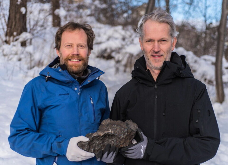 Här är huvudstycket från det observerade meteoritfallet den 7 november 2020. Det väger 14 kilogram och hittades utanför Enköping av Andreas Forsberg och Anders Zetterqvist. Foto: Foto: Naturhistoriska riksmuseet/Handout/TT Här är huvudstycket från det observerade meteoritfallet den 7 november 2020. Det väger 14 kilogram och hittades utanför Enköping av Andreas Forsberg och Anders Zetterqvist. Foto: Foto: Naturhistoriska riksmuseet/Handout/TT