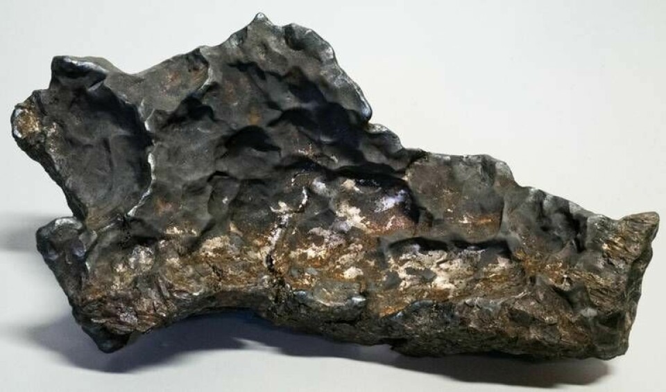 Den spektakulära järnmeteoriten som har hittats i Uppland. Foto: Foto: Naturhistoriska riksmuseet/Handout/TT