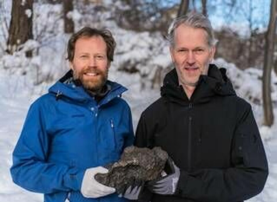 Här är huvudstycket från det observerade meteoritfallet den 7 november 2020. Det väger 14 kilogram och hittades utanför Enköping av Andreas Forsberg och Anders Zetterqvist. Foto: Foto: Naturhistoriska riksmuseet/Handout/TT