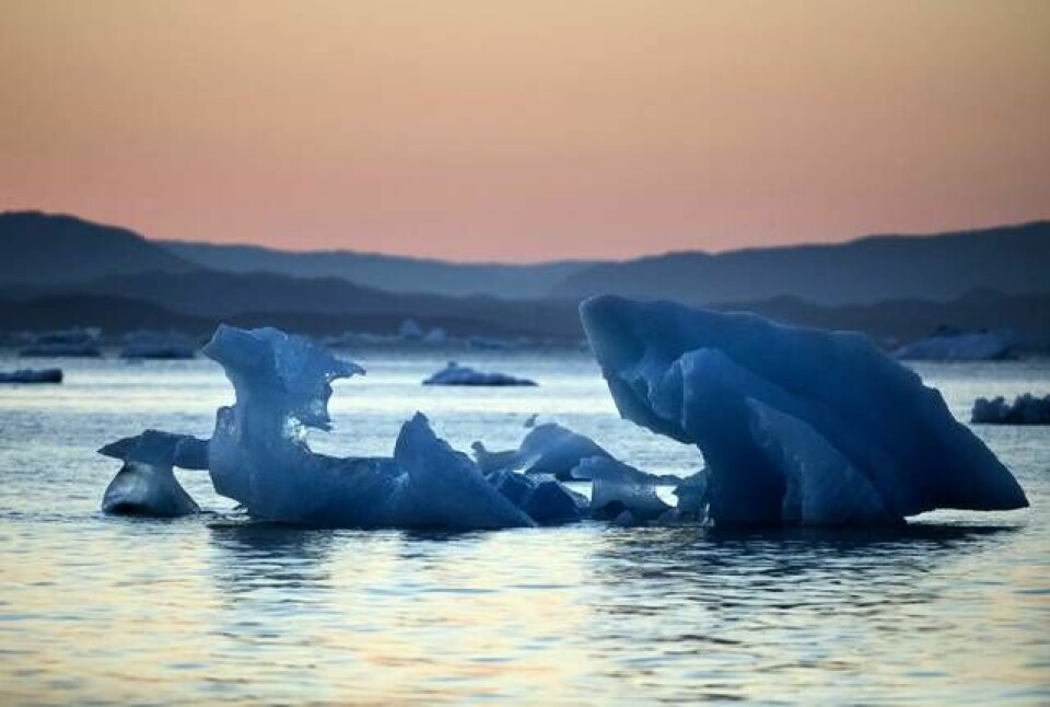 Grönlands glaciärer smälter i allt snabbare takt, bilden är tagen nära Nuuk 2017. Foto: David Goldman/AP/TT