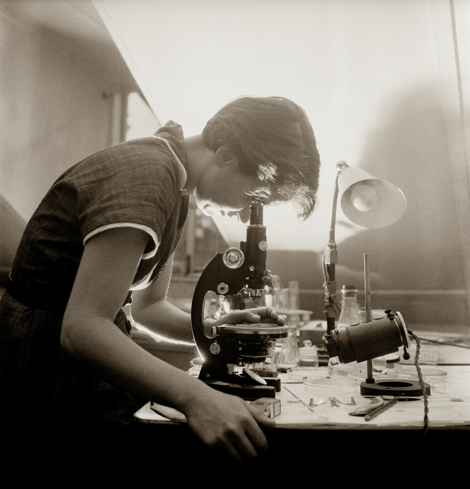 Kemisten Rosalind Franklin i sitt laboratorium. Hon tittar i ett mikroskop.