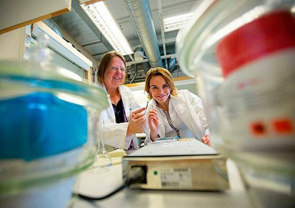 Kristina Edström och Maria Strømme på Ångströmlaboratoriet i Uppsala har fått 32 miljoner kronor till sitt nya projekt. Foto: Mikael Wallerstedt Kristina Edström och Maria Strømme på Ångströmlaboratoriet i Uppsala har fått 32 miljoner kronor till sitt nya projekt. Foto: Mikael Wallerstedt