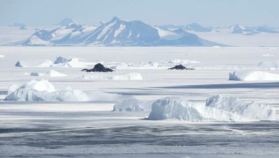 Istäcket vid Antarktis mättes i juli till det minsta på 44 år. Arkivbild. Foto: AP/TT