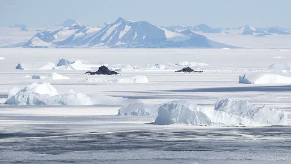 Istäcket vid Antarktis mättes i juli till det minsta på 44 år. Arkivbild. Foto: AP/TT Istäcket vid Antarktis mättes i juli till det minsta på 44 år. Arkivbild. Foto: AP/TT