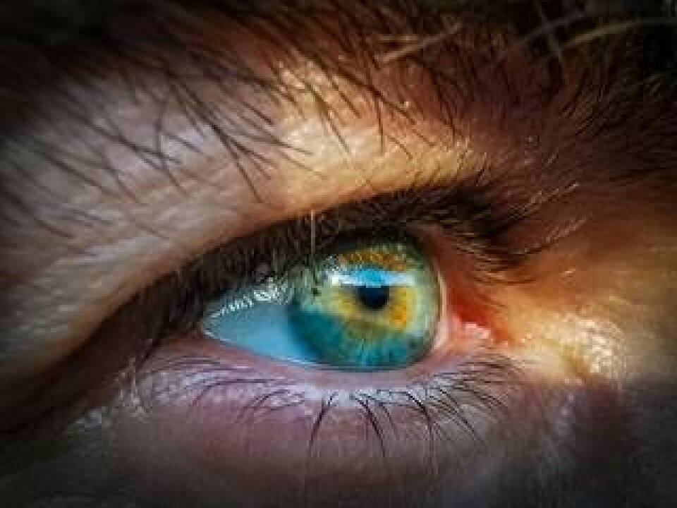 Mänskligt öga. Foto: Pixabay